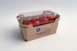 tomatenverpakking - kartonnen tray met lid
